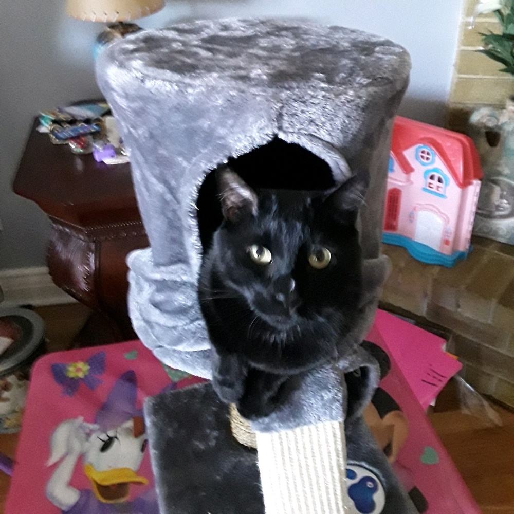 Meet your Posher, Carol